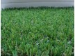 Аrtificial grass AQUA 220 PRINCE - high quality at the best price in Ukraine